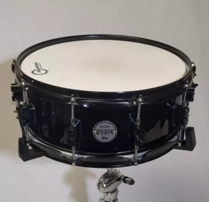 Pacific Drums - Concept Maple Snare 5.5x14